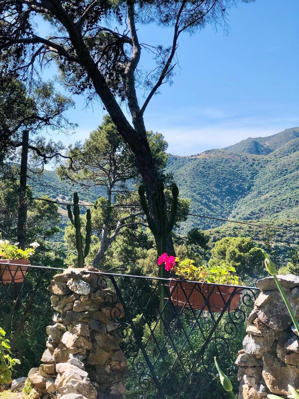 Aragonite Azzurra Casa Vacanza Гоннеза Экстерьер фото
